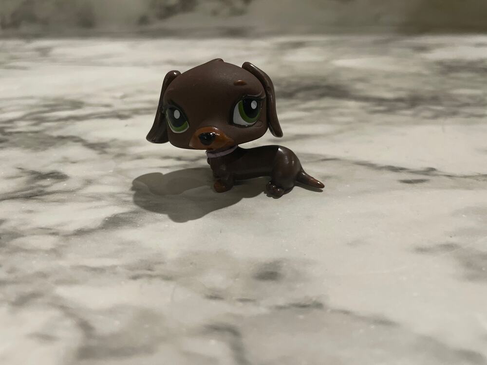 Bratz Little angelz pet
